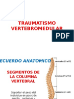 Traumatismo Vertebro Medular