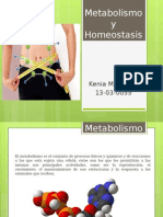 Metabolismo Humano