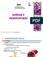 Sangue e Hematopoese PDF