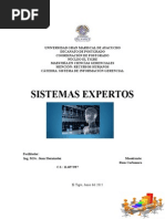 Sistemas Expertos Gestión de Conocimiento Integral en Las Organizaciones 