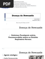 Doença de Newcastle PDF