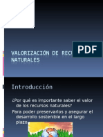 Valorización de Recursos Naturales