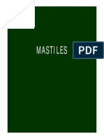 32 Mastiles PDF