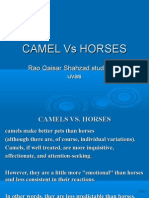 Camels Vs Horses