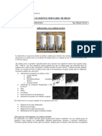 Tratamiento Terciario de Riles