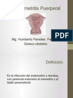 Endometritis Puerperal