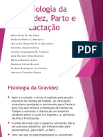 Fisiologia Da Gravidez, Parto e Lactação