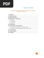 Determinacion de Histamina en Salmon Coho Por Cromatografia HPLC