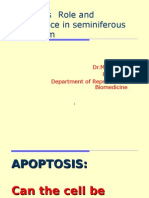 Apoptosis Role and Significance in Seminiferous Epithelium: Dr.M.M.Misro Professor Department of Reproductive Biomedicine