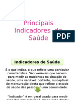 Principais Indicadores de Saúde