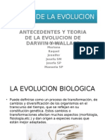 Teoria de La Evolucion