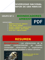 BIOINDICADORES AMBIENTALES GRUPO N°1 - 21.05.2015. Final