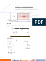 Analisis de Una Placa y Muro de Albañileria