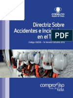 Directriz Sobre Accidentes e Incidentes en El Trabajo PDF