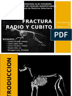 Fractura Radio y Cubito