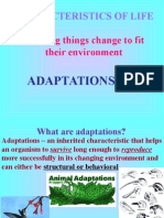 Animal Adaptation