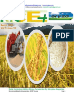 4th August (Tuesday), 2015, Daily Exclusive ORYZA Rice E-Newsletter by Riceplus Magazine