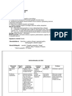 Spania - Proiect de Lectie Geografie - Clasa A VI-A