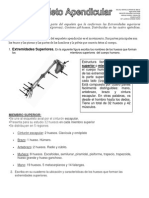 Guia 5 Esqueleto Apendicular