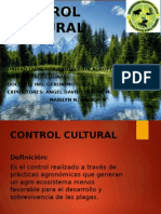 Control Cultural Diapositivas