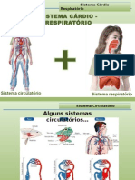 7 Sistema Cárdio Respiratório