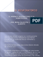 El Aparato Respiratorio y La Homeostasis Por