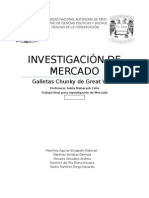 Investigación de Mercado Chunky