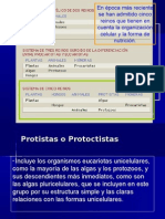 Protistas o Protoctistas