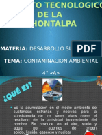 Contaminacion Ambiental