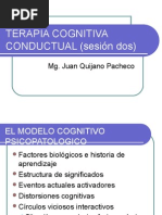 Terapia Cognitiva Conductual (Sesión Dos)