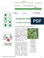 Plantas Venenosas