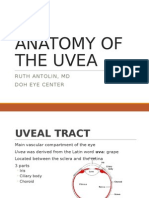 Anatomy of The Uvea: Ruth Antolin, MD Doh Eye Center