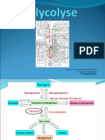 Glycolyse