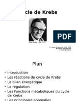 Cycle de Krebs