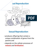 Meiosis 1 PDF