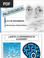 Alzheimer Plan de Cuidados Enfermeria