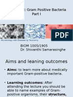 Pathogenic Gram Positive Bacteria