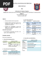 Practica 12 y Ensayos para Proteinas y Aminoacidos