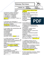 Ficha Sistema Nervioso 5tos Con Clave