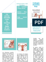 Organos Sexuales (Iimprimir A Blanco y Negro)