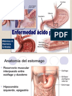 Enfermedad Acido Peptica