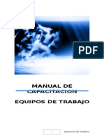 Manual Del Participante Equipos de Trabajo