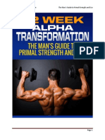 12 Week Alpha Transformation