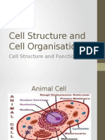 Chapter 2-Cell Analogy 2015