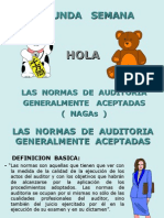 Las Normas de Auditoria NAGAs 2