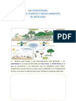 Evaluación. Los Ecosistemas