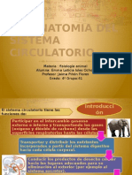 Anatomia Del Sistema Circulatorio