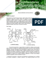 Especialidade de Aracnideos