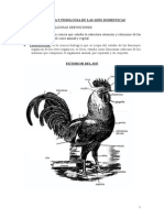 Fisiologia de Aves Completo 