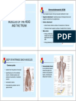 4 - Muscles - Head and Trunk (Compatibility Mode)